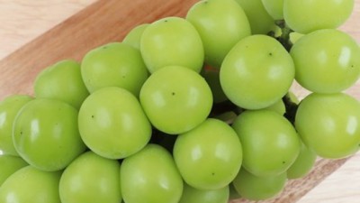 햇살 가득 머금은 샤인머스켓 2키로! 꿀팁 가득한 구매 후기🍇